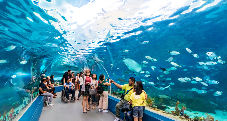 Cebu Ocean Park, one of the top Klook-bookable Cebu attractions