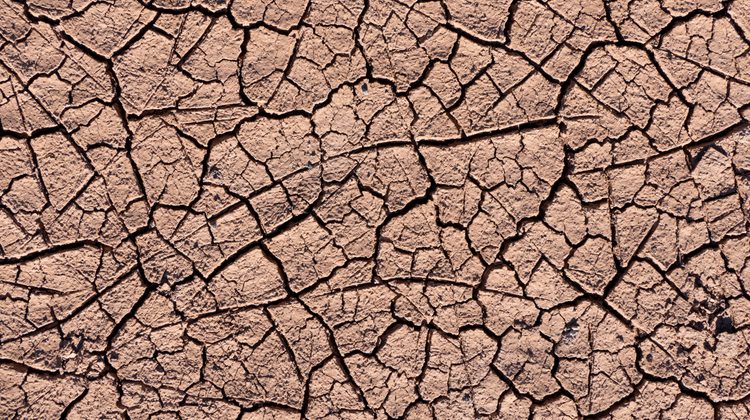 Dry, cracked soil from drought conditions