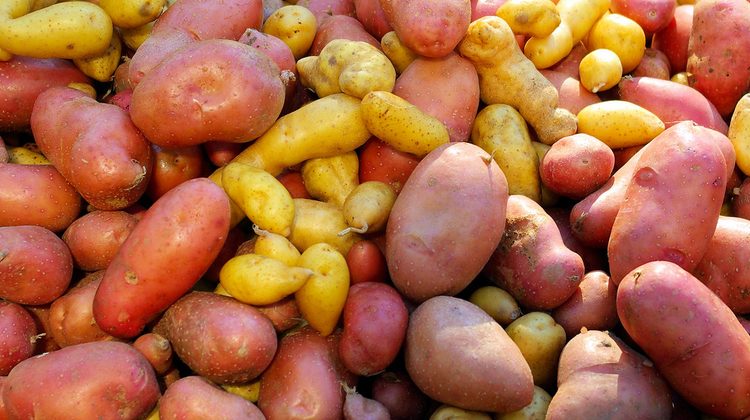 Fresh produce piled at a market stall