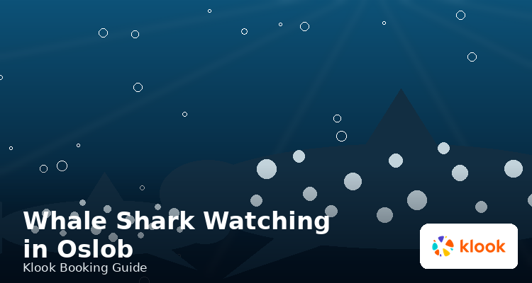 Whale shark watching in Oslob, Cebu snorkeling tour booking guide