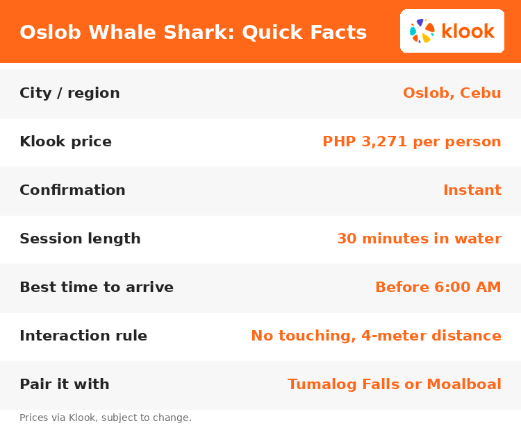 Oslob whale shark watching quick facts: price, session length, interaction rules